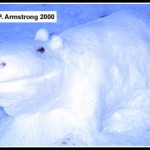 snow_hippo